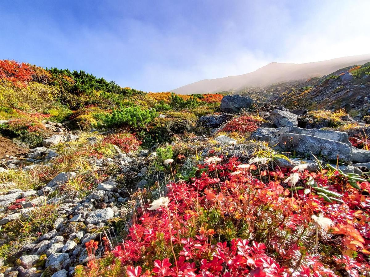 Pension Gooseberry Furano Luaran gambar