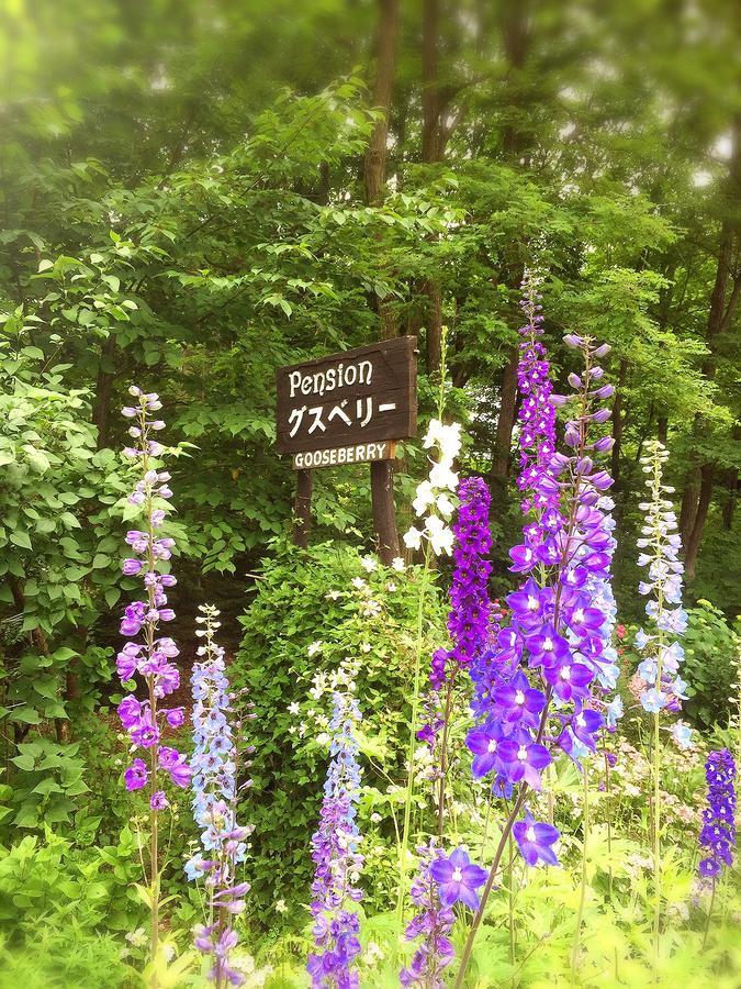Pension Gooseberry Furano Luaran gambar