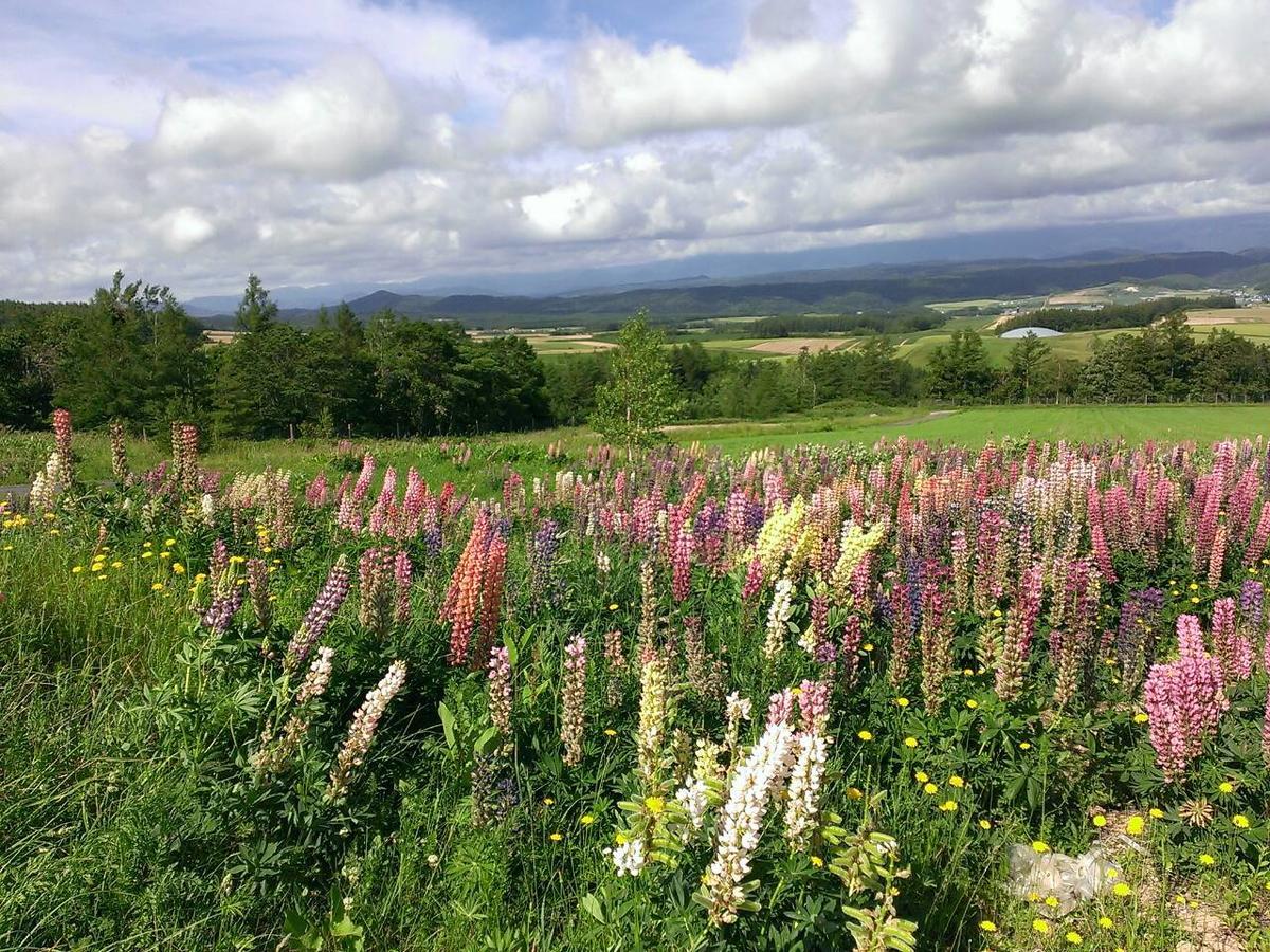 Pension Gooseberry Furano Luaran gambar
